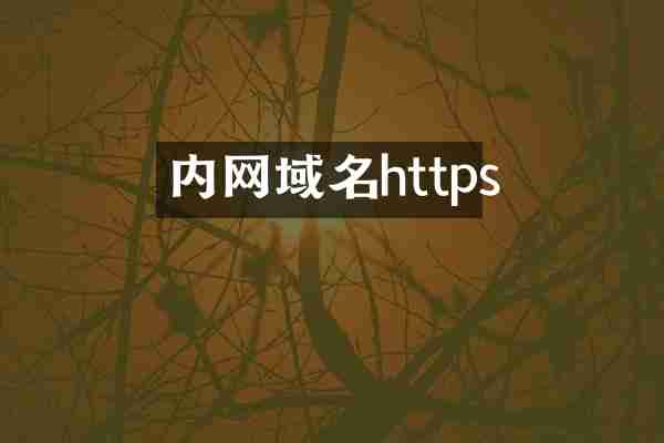 内网域名https