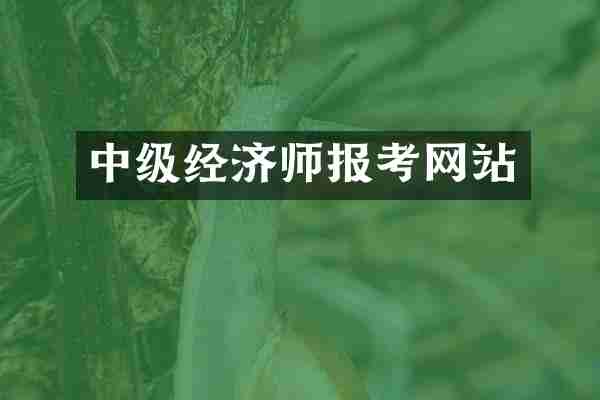 中级经济师报考网站