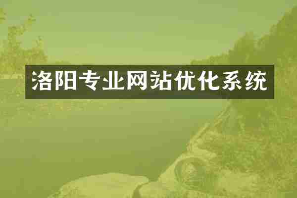 洛阳专业网站优化系统