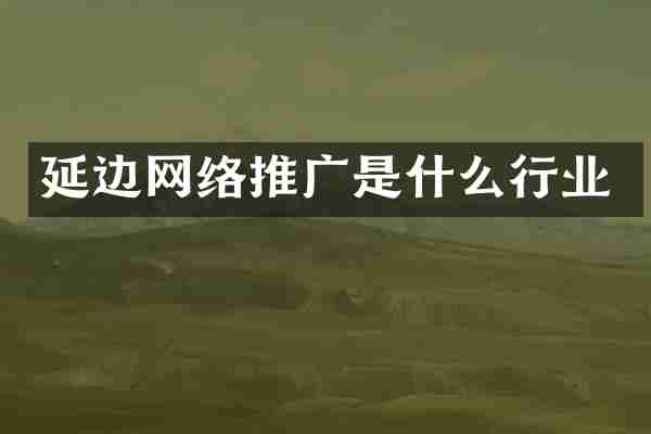 延边网络推广是什么行业