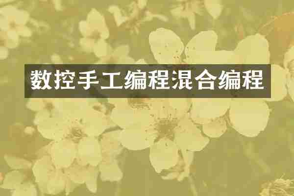 数控手工编程混合编程