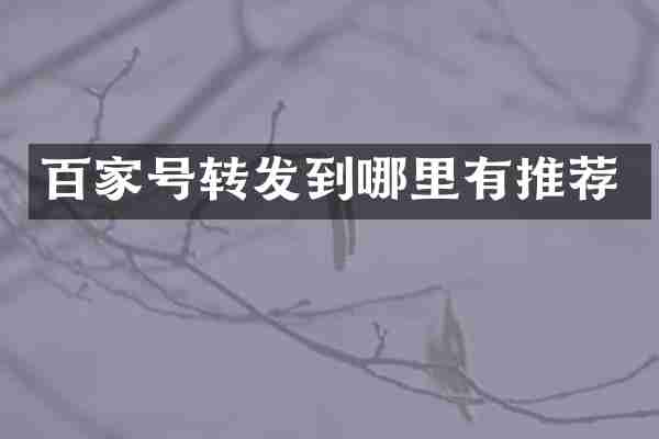 百家号转发到哪里有推荐