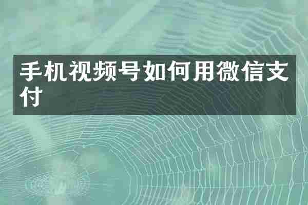 手机视频号如何用微信支付