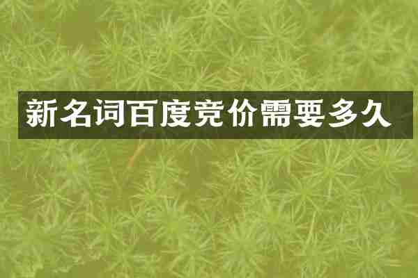 新名词百度竞价需要多久