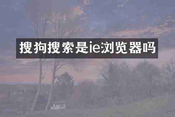 搜狗搜索是ie浏览器吗