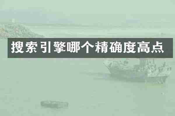 搜索引擎哪个精确度高点