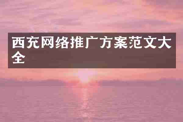 西充网络推广方案范文大全