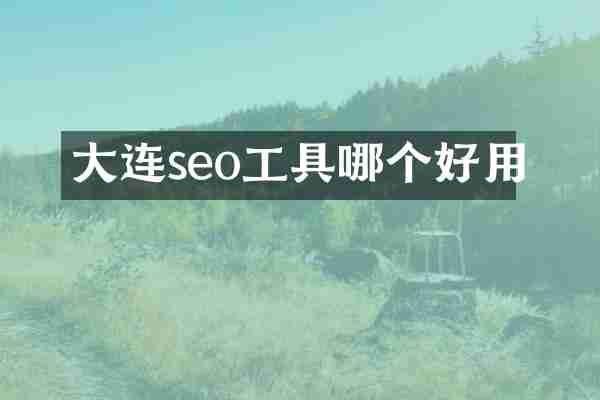大连seo工具哪个好用