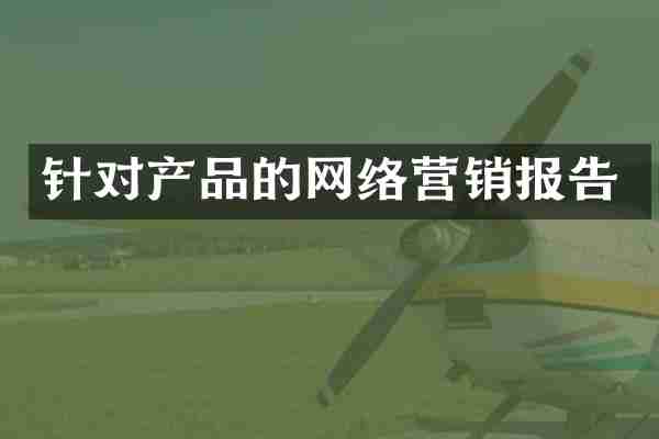针对产品的网络营销报告