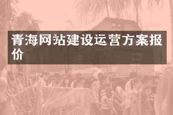 青海网站建设运营方案报价