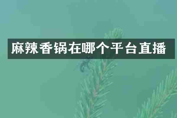 麻辣香锅在哪个平台直播