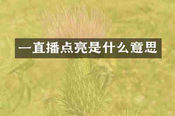 一直播点亮是什么意思