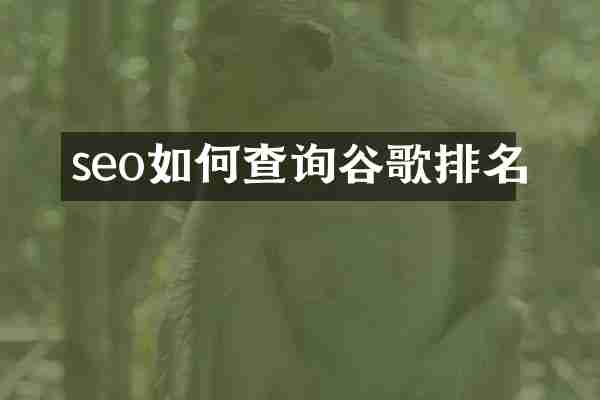 seo如何查询谷歌排名