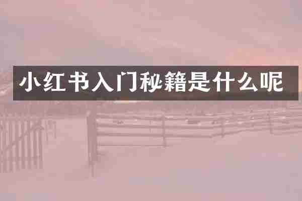 小红书入门秘籍是什么呢