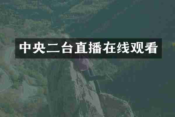 中央二台直播在线观看