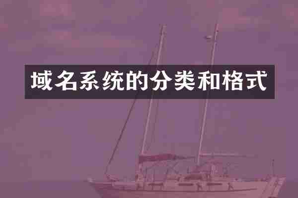 域名系统的分类和格式