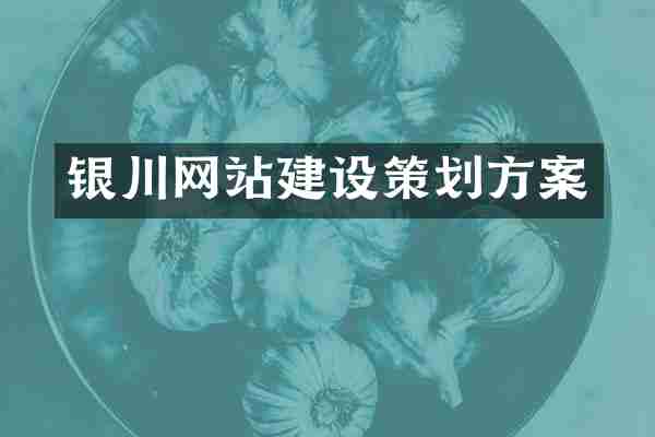 银川网站建设策划方案