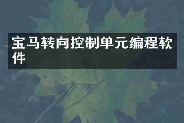 宝马转向控制单元编程软件