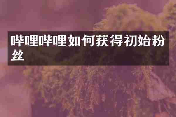 哔哩哔哩如何获得初始粉丝