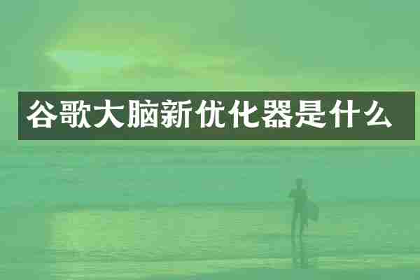 谷歌大脑新优化器是什么
