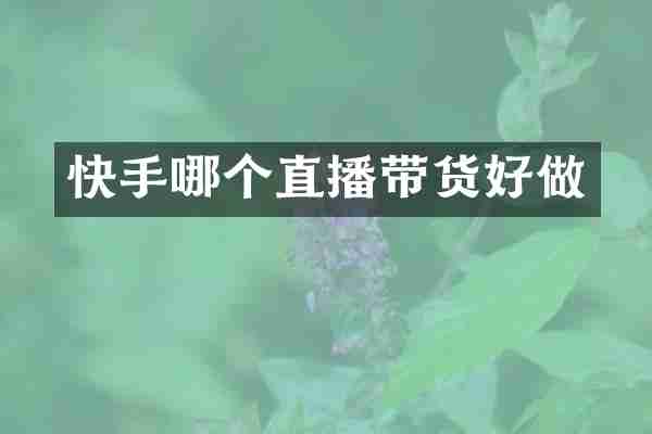 快手哪个直播带货好做