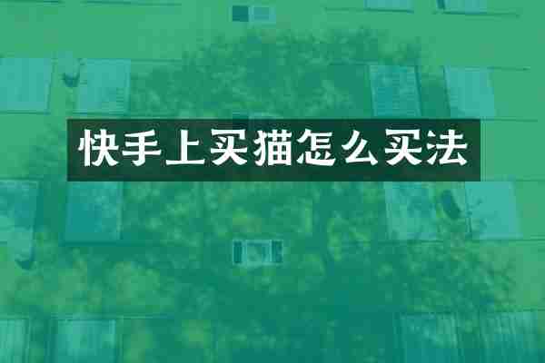 快手上买猫怎么买法