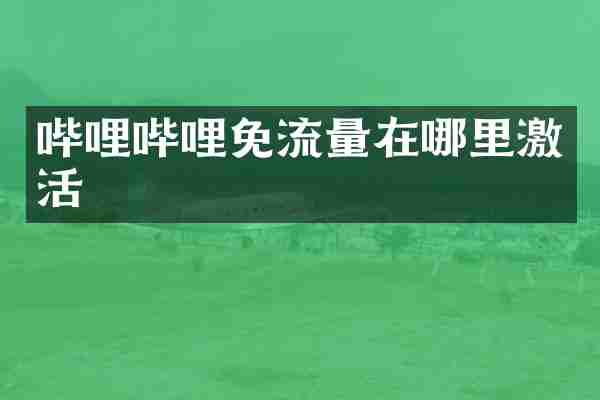 哔哩哔哩免流量在哪里激活