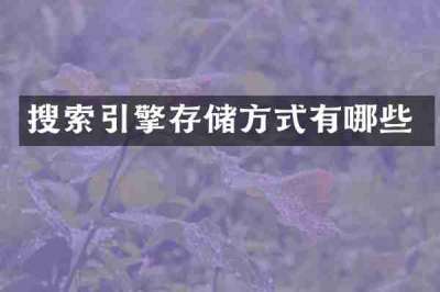 搜索引擎存储方式有哪些