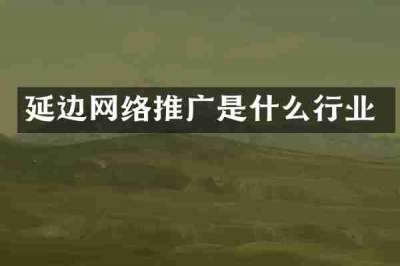 延边网络推广是什么行业