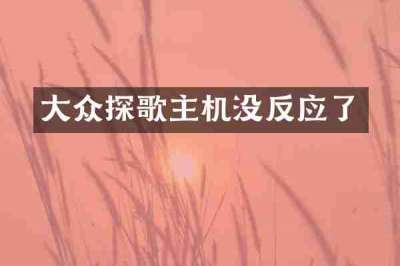 大众探歌主机没反应了