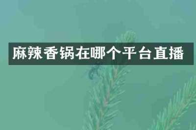 麻辣香锅在哪个平台直播