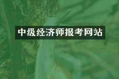 中级经济师报考网站