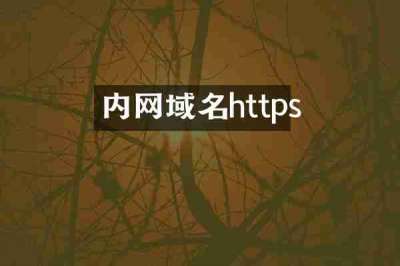内网域名https