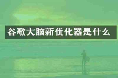 谷歌大脑新优化器是什么