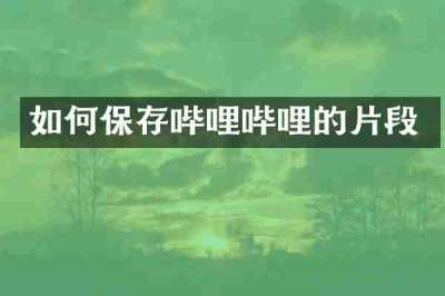 如何保存哔哩哔哩的片段