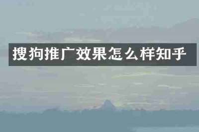 搜狗推广效果怎么样知乎