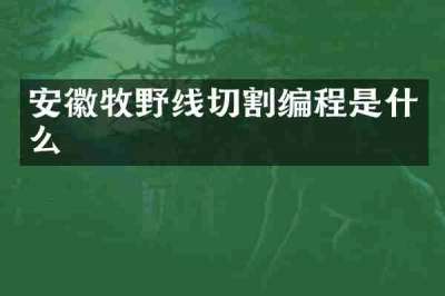 安徽牧野线切割编程是什么