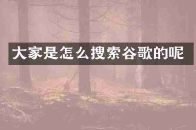 大家是怎么搜索谷歌的呢