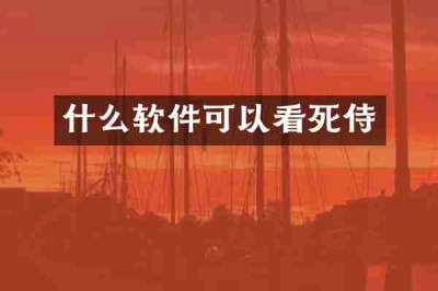 什么软件可以看死侍
