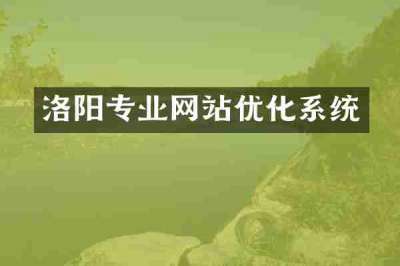 洛阳专业网站优化系统