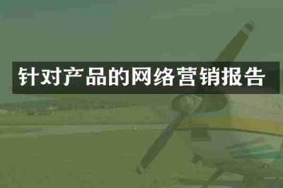 针对产品的网络营销报告