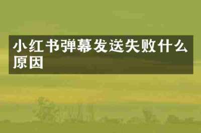 小红书弹幕发送失败什么原因