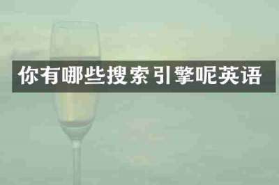你有哪些搜索引擎呢英语