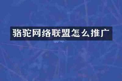 骆驼网络联盟怎么推广