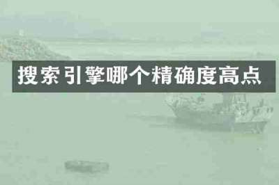 搜索引擎哪个精确度高点