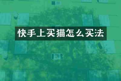 快手上买猫怎么买法