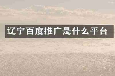 辽宁百度推广是什么平台