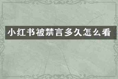 小红书被禁言多久怎么看