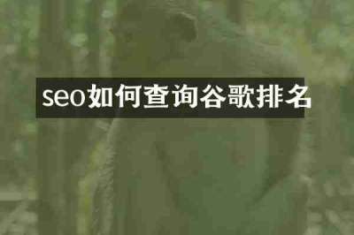 seo如何查询谷歌排名