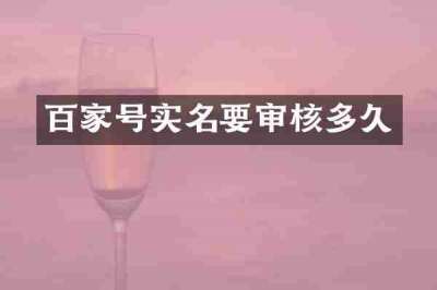 百家号实名要审核多久